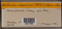 Image Associated With the Occurence
